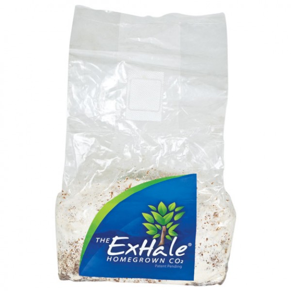 XL Exhale Co2 Bag